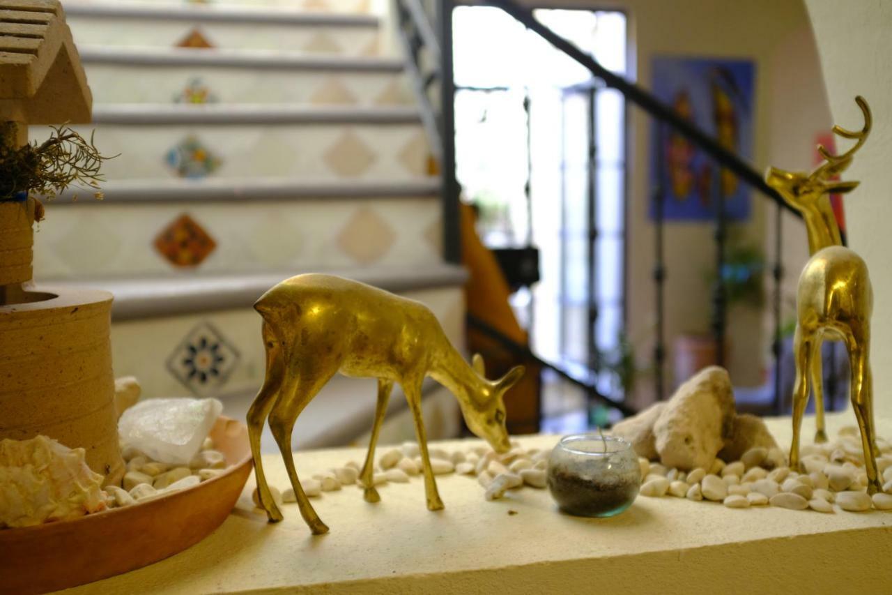 סאן מיגל דה אלנדה Posada Del Pozo מראה חיצוני תמונה